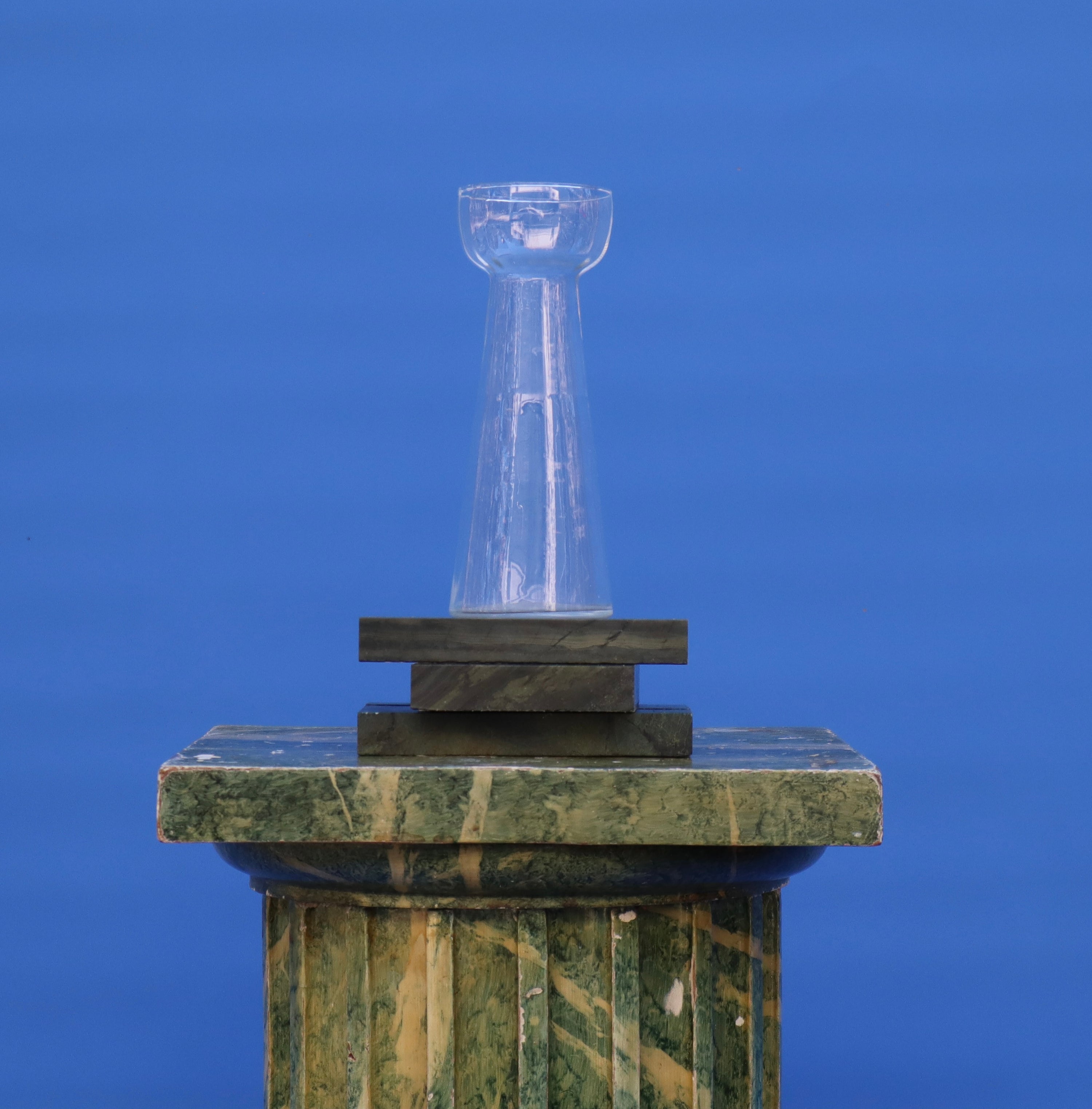 Winter Bulb to Bloom Vases