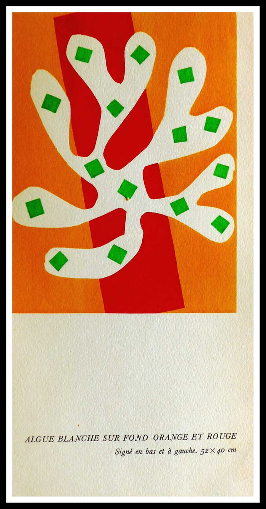 Henri Matisse| Stencil 'Algue Blanche Sur Font Orange et Rouge
