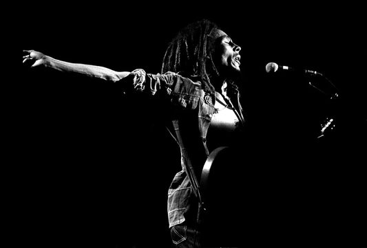 Bob Marley| Santa Monica 1979| Blender Gallery