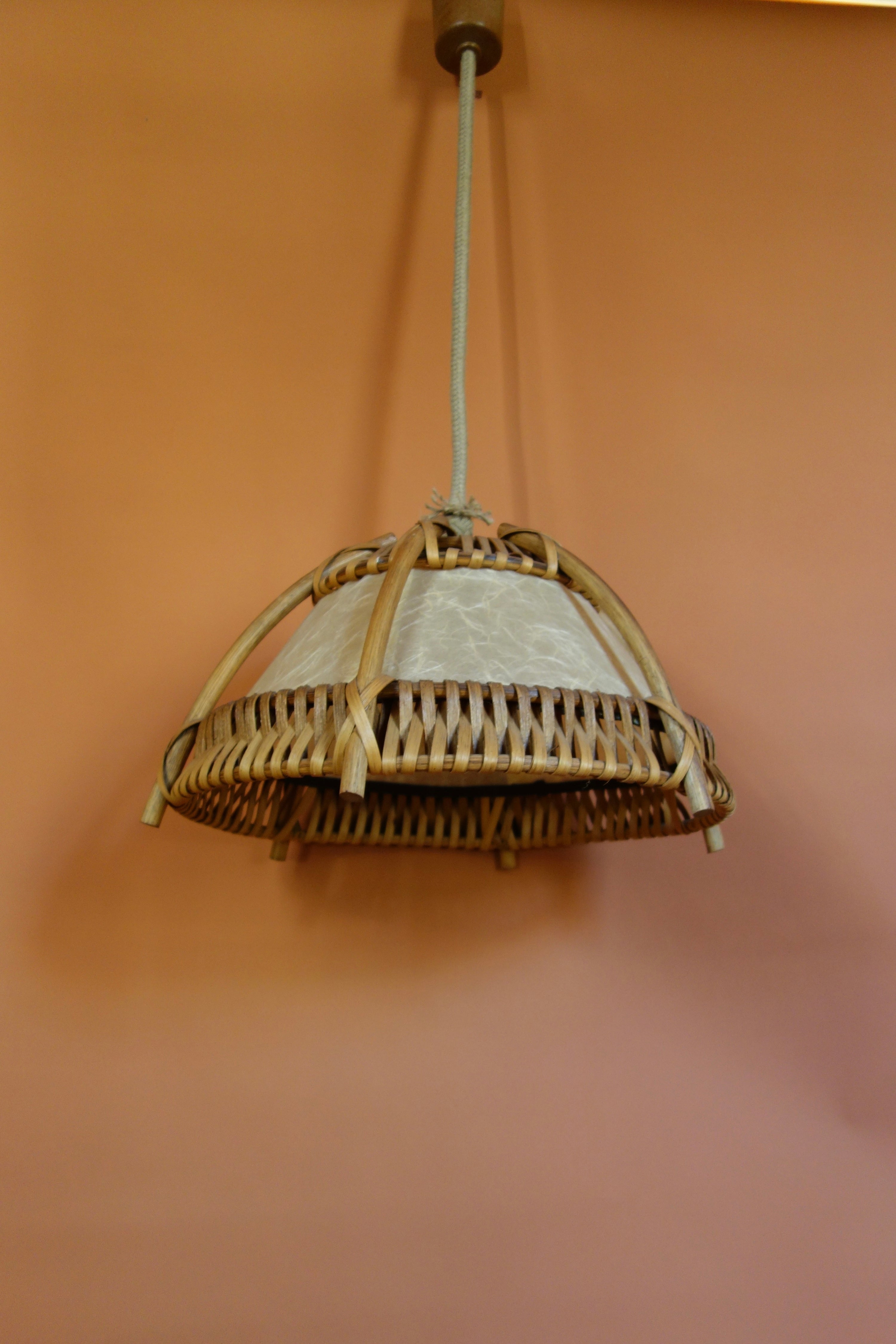 Bamboo and Cocoon Pendant