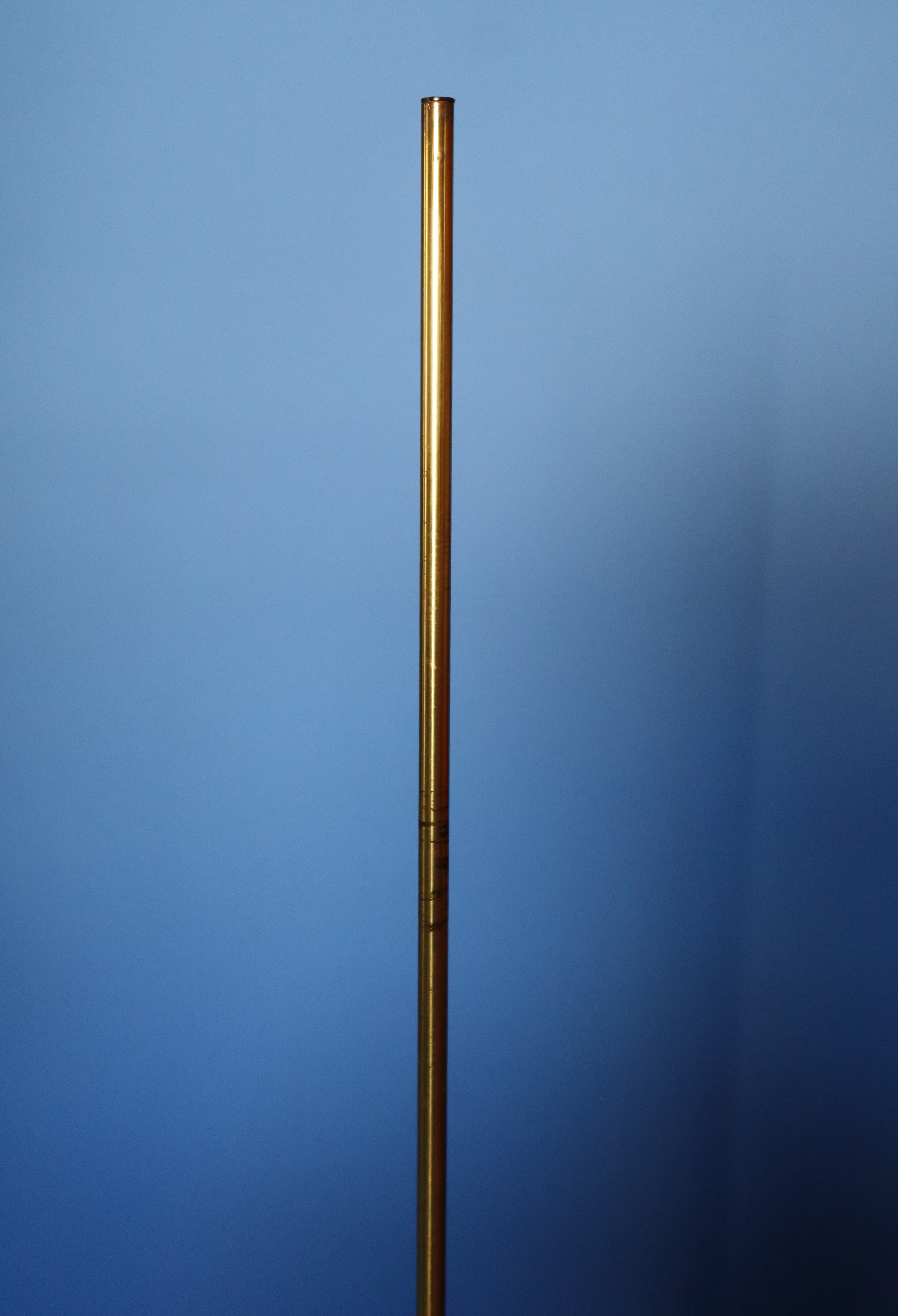 Brass Adjustable Floor Lamp