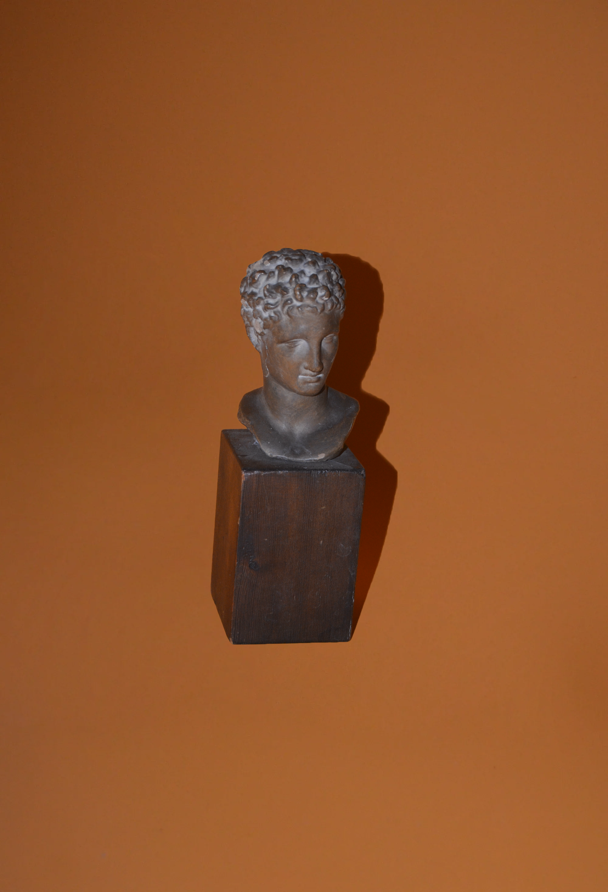 Ephebe of Marathon Bust