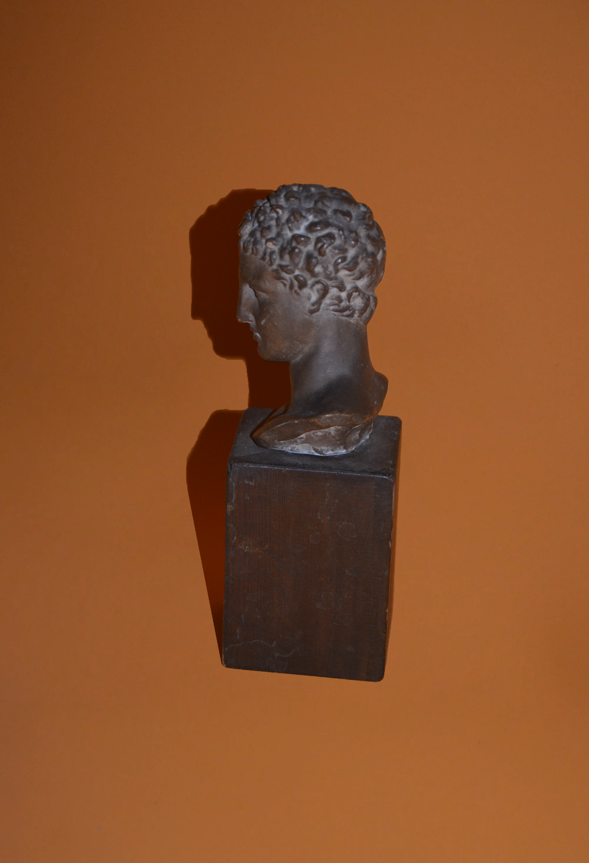 Ephebe of Marathon Bust