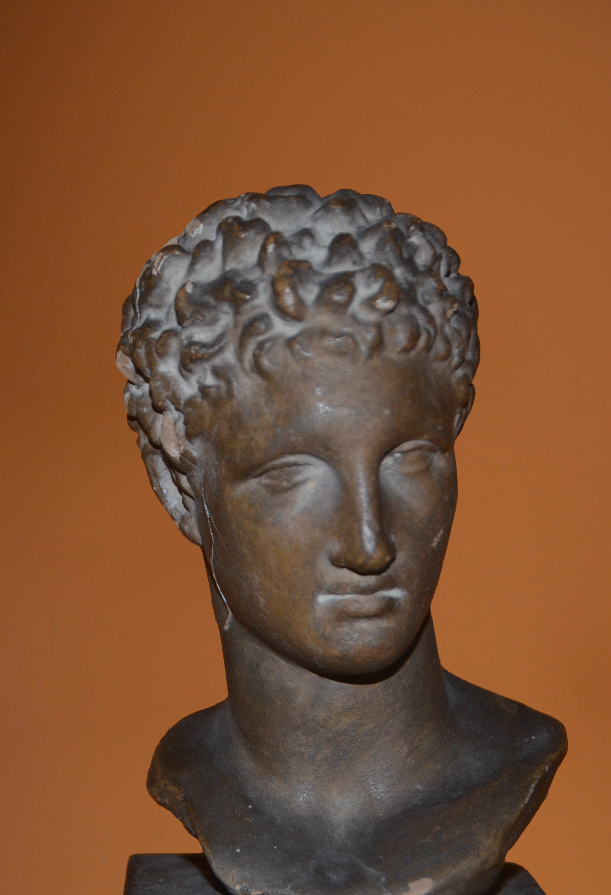 Ephebe of Marathon Bust