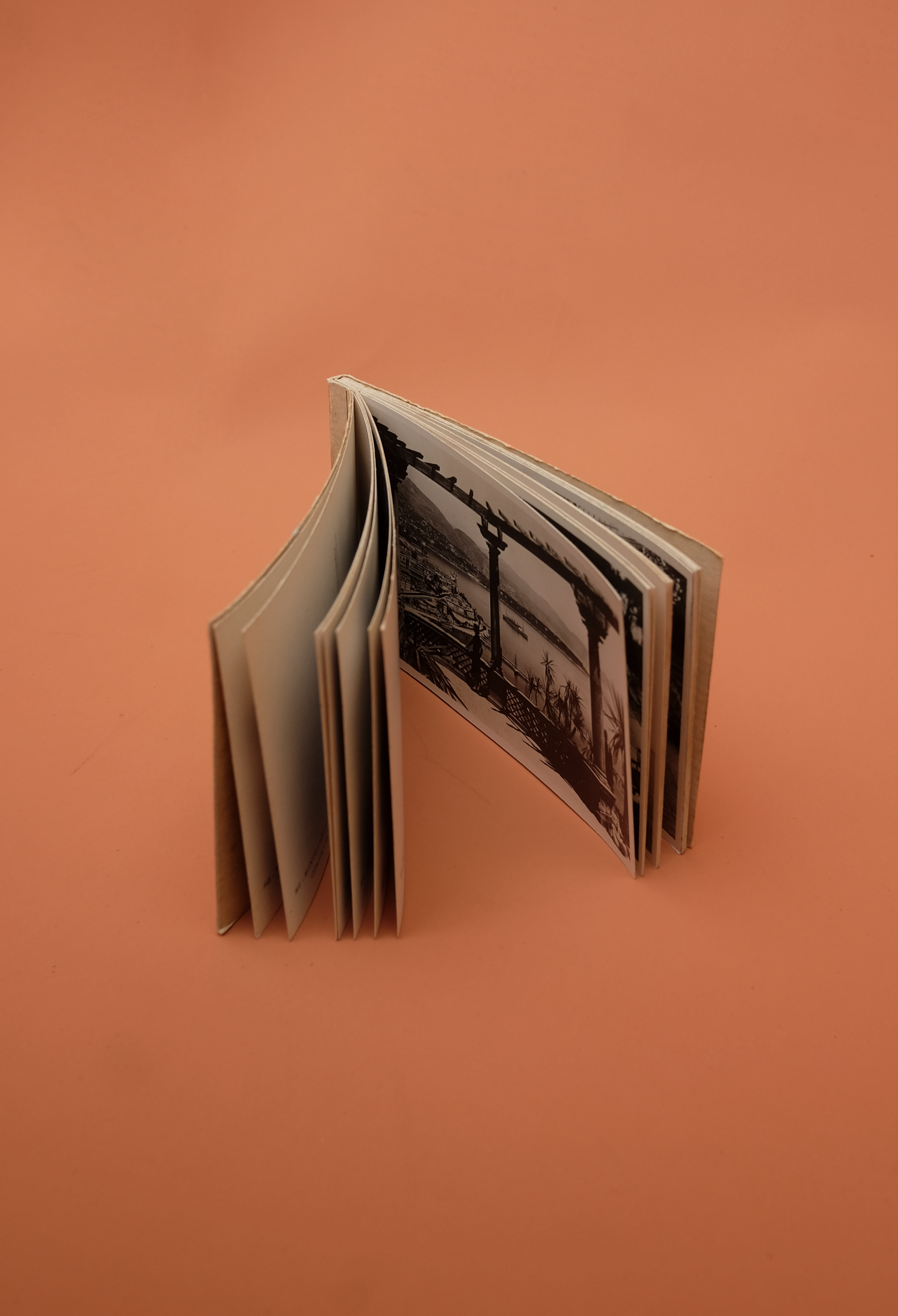 Postcard Booklet | Large