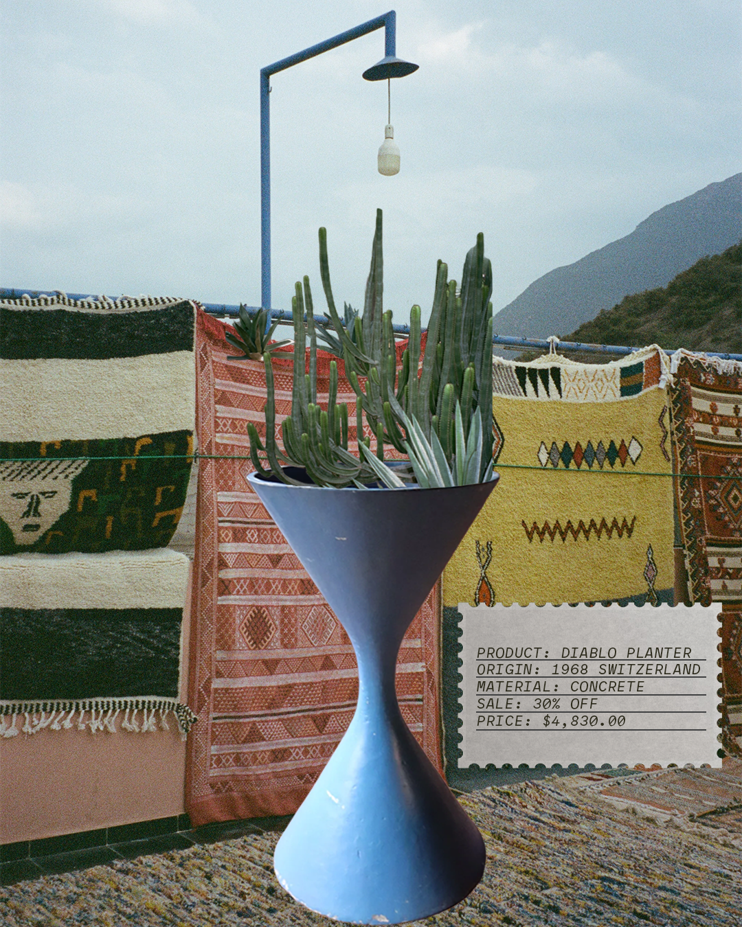 Diablo Bleu Planter by Willy Guhl