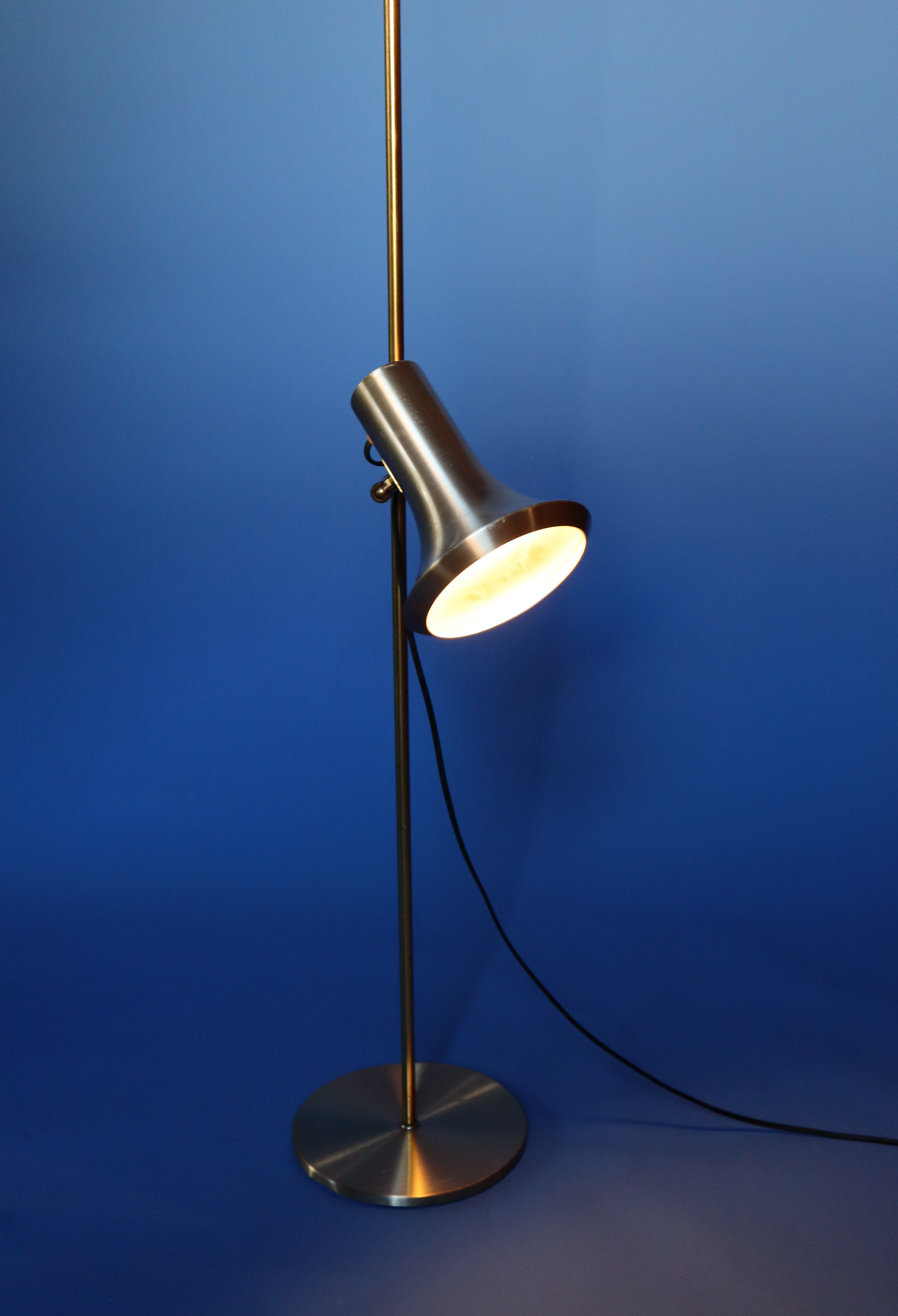 Brass Adjustable Floor Lamp