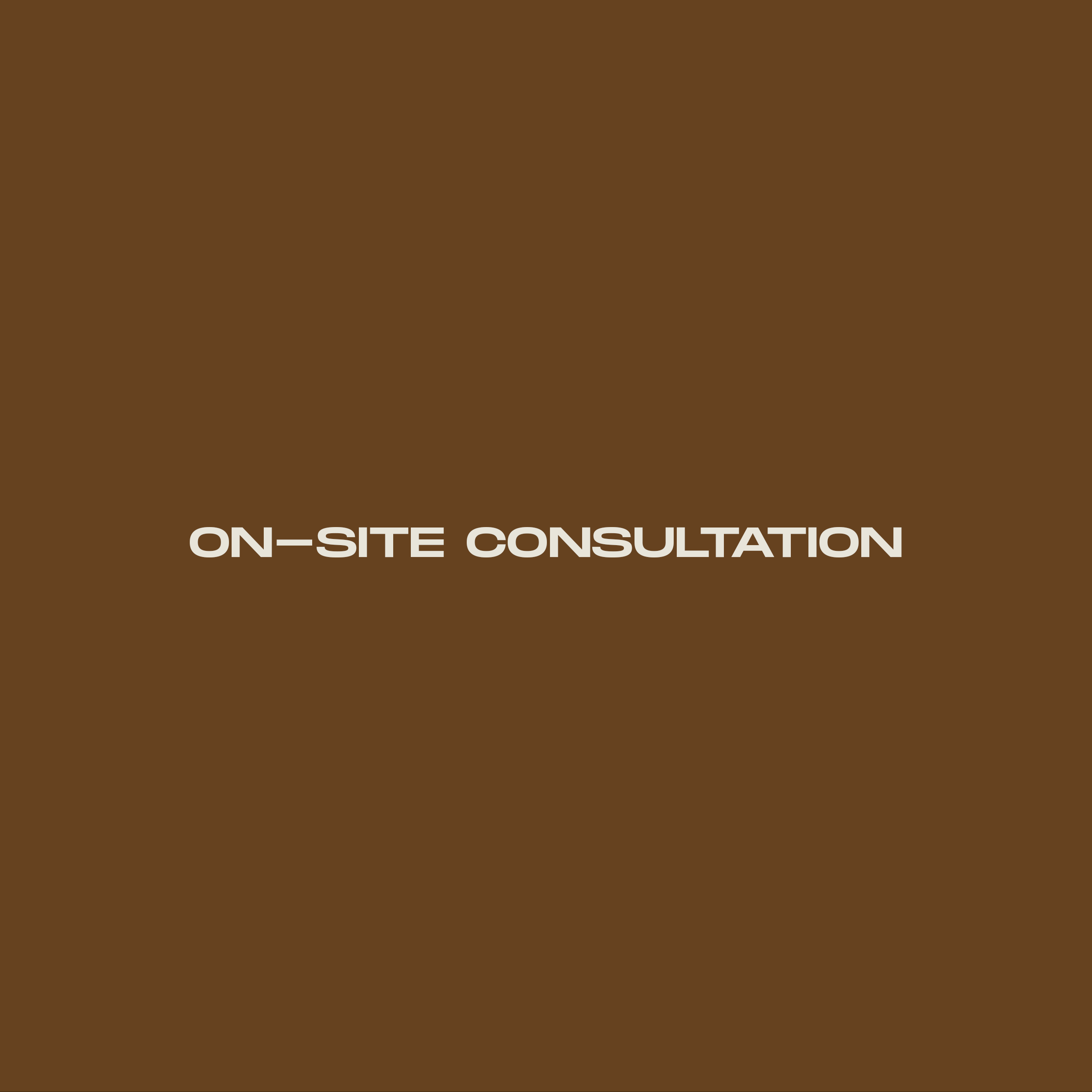 On-Site Interior Consultation