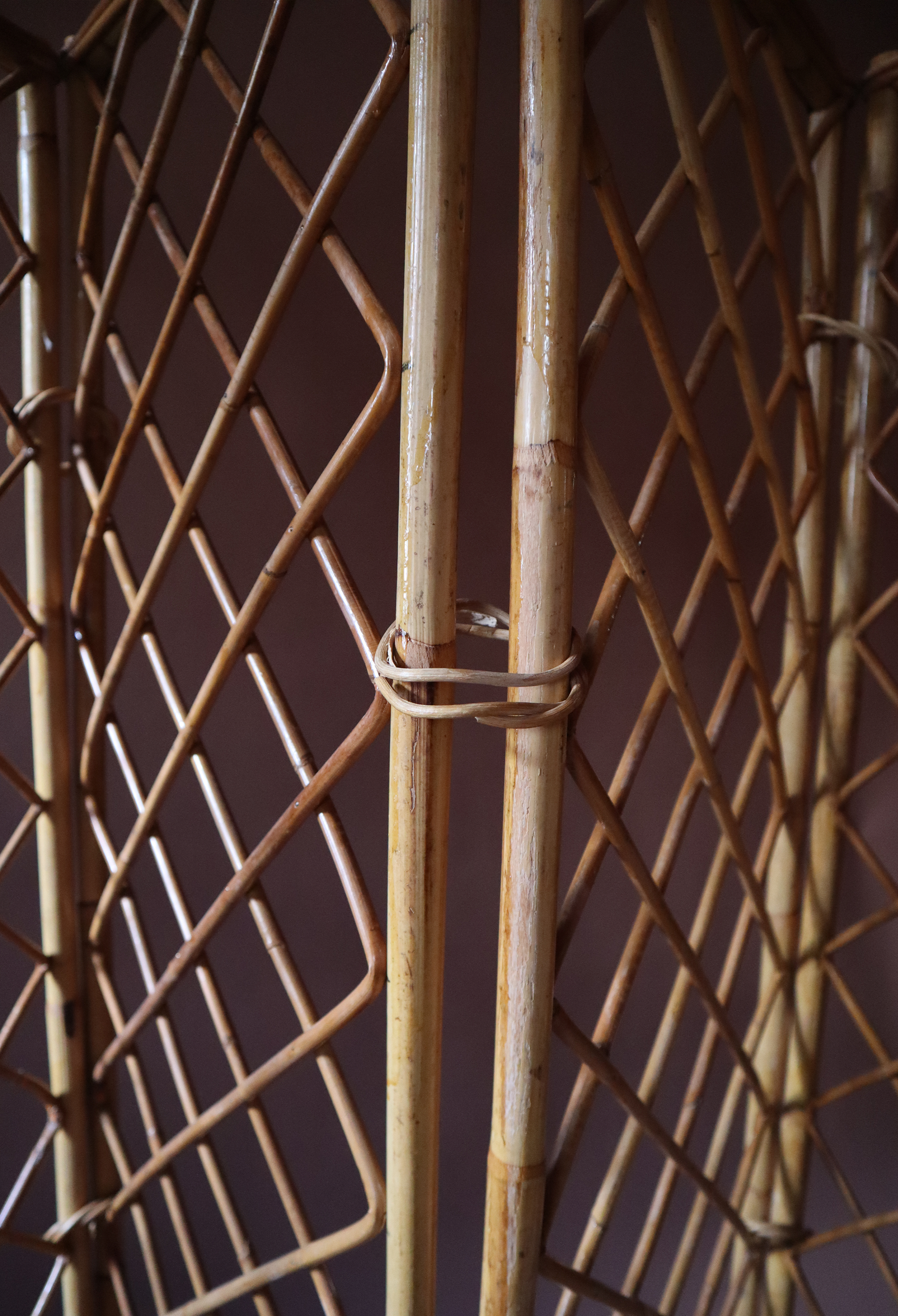 Le Jardin Cane Screen